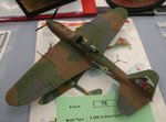 IL-2M_7639.JPG