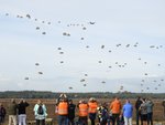 DSCN0242.JPG