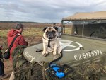 IMG-20180922-WA0017.jpg