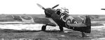 SAAF--KJ-question-mark--Messerschmitt-Bf-109F-4-Trop---SAAF--4-Sqn--Martuba--Libya--Jan-1943.jpg