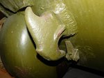 DSCN1182.JPG
