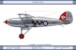 Fury_Mk1_43sqn_3_Dev.jpg