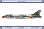F4_Belgium_350Sqn_Dev.jpg