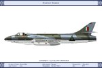 F6_Iraq_1Sqn_Dev.jpg