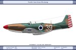 P51D_Israel_101Sqn_Dev.jpg