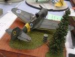 Hawk 75_Finnish Yellow 2_7972.JPG