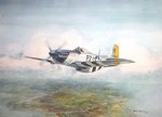 Mustang-painting--WEB02.jpg