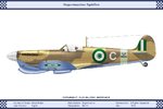 Mk_5c_Egypt_2Sqn_Dev.jpg