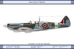 Mk_8_GB_241Sqn_Dev.jpg