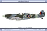 Mk_9_GB_315Sqn_Dev.jpg
