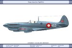 Mk_11_Denmark_Dev.jpg