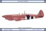 Mk_11_GB_16Sqn_2_Dev.jpg