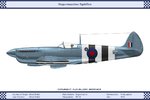 Mk_11_GB_16Sqn_Dev.jpg