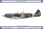 Mk_12_GB_91Sqn_Dev.jpg