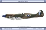 Mk_14_GB_17Sqn_Dev.jpg