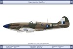 Mk_14e_India_6Sqn_Dev.jpg