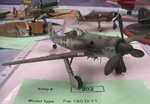 Fw190D-11_White 61_7656.JPG