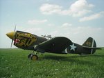 p40b.jpg