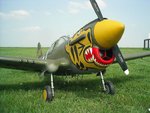 p40c.jpg