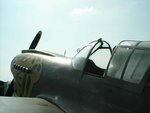 p40g.jpg
