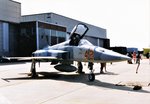 F-5 Tiger (1).jpg