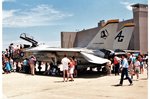 F-14 Tomcat (6).jpg
