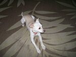 100_1450.JPG 100_1450.JPG