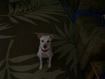 100_1447.JPG 100_1447.JPG