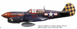 Curtiss-P-40F-Warhawk-325FG-Robert-Baseler-Tunisia-1943-0A.jpg
