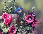 Songbirds1.jpg