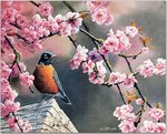 kb_Bourdet_Susan-2007_Songbirds_Wallpaper-03_.jpg