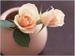 Floral.jpg