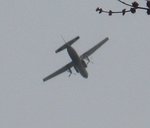 IMG_2280 2.jpg