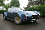 cobra2 1966 SC.jpg