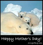 mothers_day_polar_bears.JPG