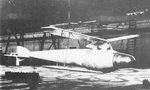 siemtopglider.jpg