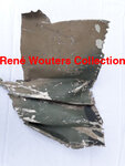 Paintsample wing 1.jpg