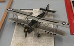 Swordfish_7685.JPG
