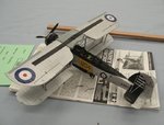 Swordfish_7688.JPG