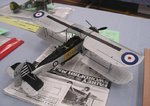 Swordfish_7690.JPG