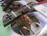 Albatros DIII_7761.JPG