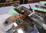 Albatros DIII_7770.JPG