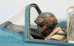 Pilot.jpg