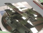 Albatros DII_7767.JPG