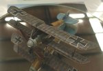 Albatros_7766.JPG