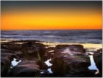 nature_0063.jpg