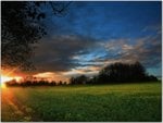 nature_0043.jpg