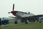 P51_1.jpg