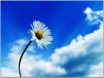 nature_0091.jpg