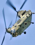 Chinook.jpg